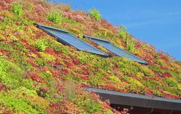 Keddington living roof systems